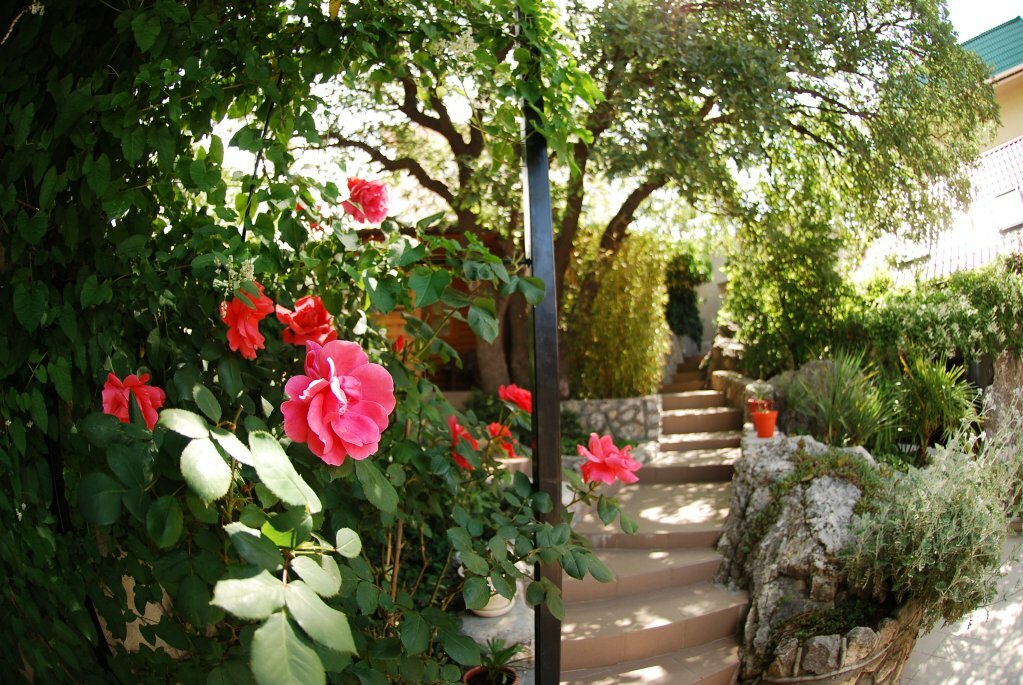 Гостиница Флер Форос-9