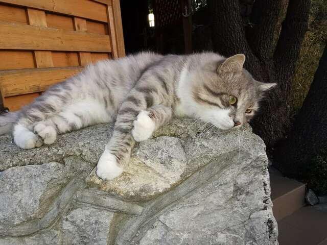 Гостиница Флер Форос-116